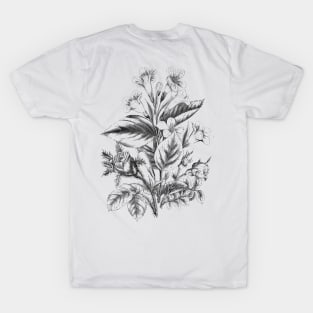 Flower Bouquet Black and White Vintage Botanical Illustration T-Shirt